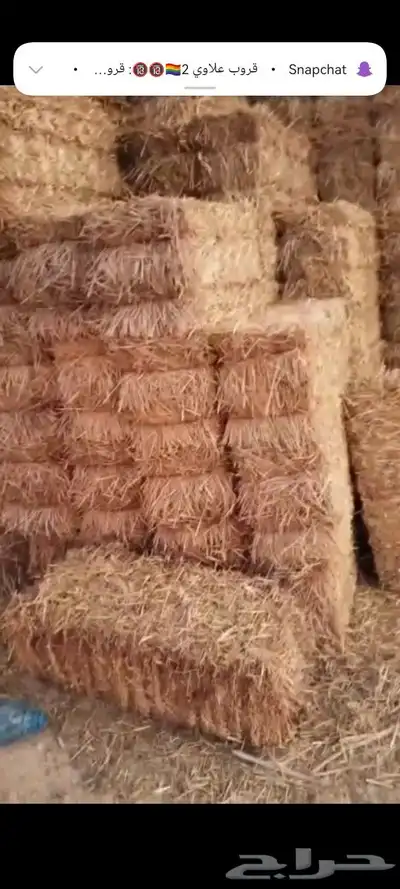 تبن بر معه خلط بارسيم بسيط 1