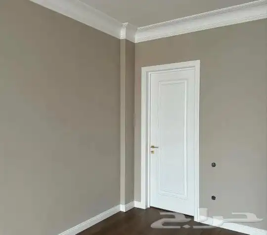 اصباغ الأحساء 13