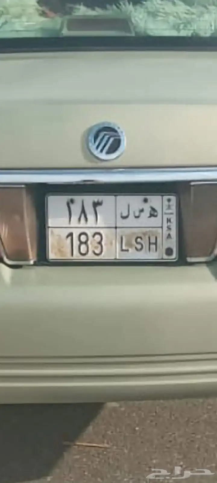 لوحة للبيع عرض اول 0