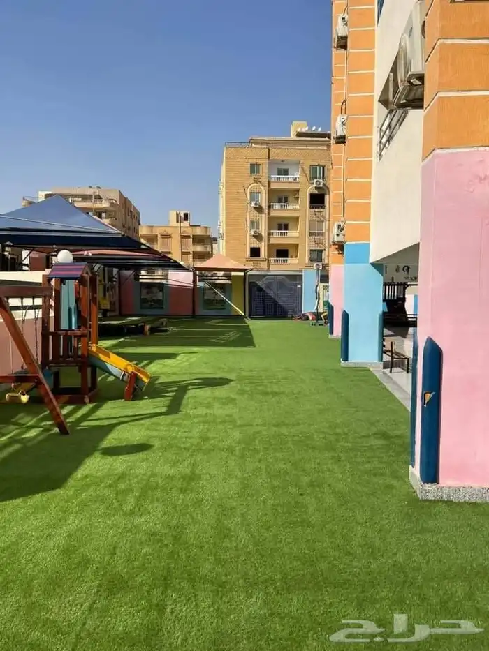 انجيلة صناعي وعشب زراعي 5
