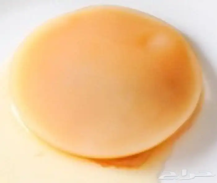 كمبوتشا فطر الاسكوبي لتقويةالمناعه 1