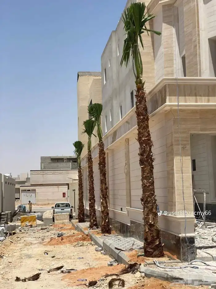 نخل وشنطونيا لزينت القصور والفلل والاستراحات والبيوت 13