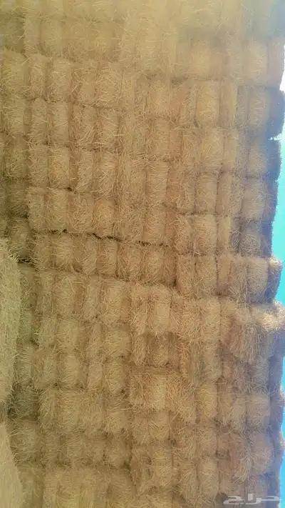 تبن بره شد متر لبنه جندير 0
