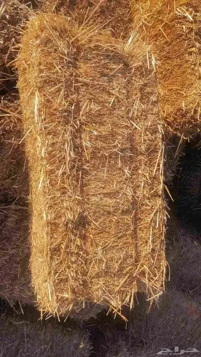 تبن بره شد متر لبنه جندير 3