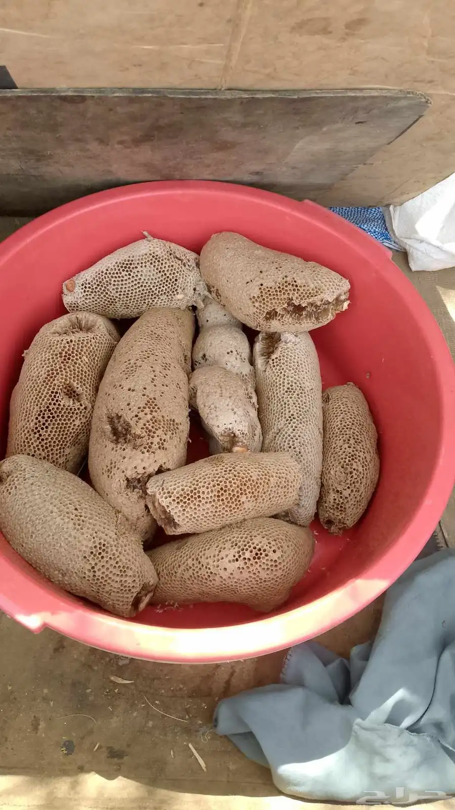 لدينا عسل بري معصور وايضا شمع نوع زهورمن اراد فليتواصل بي 0