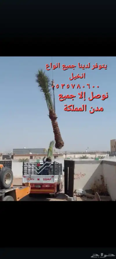 يوجد لدينا جميع انواع انخيل 8