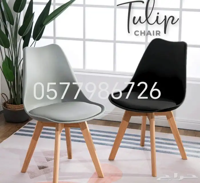 المدينه المنوره تنجيد كريسي 6