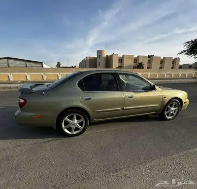 مباعه مكسيما 4