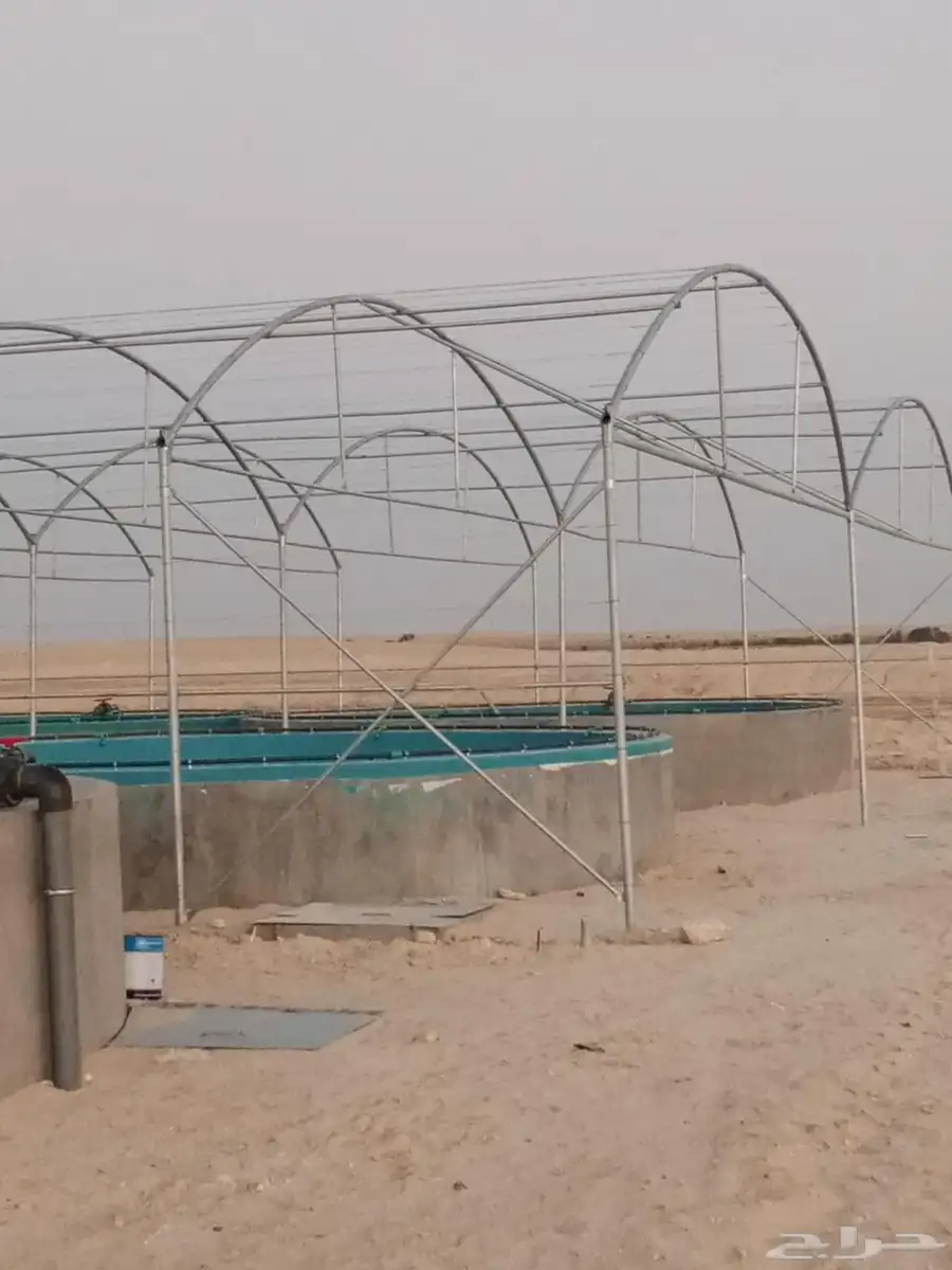 بيوت محمية بيوت محميه صالات مشاتل 5