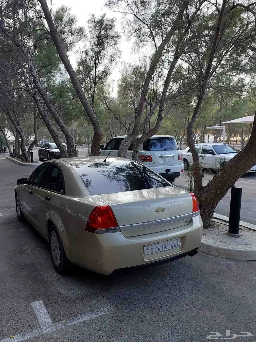 كابرس LS 2013 6