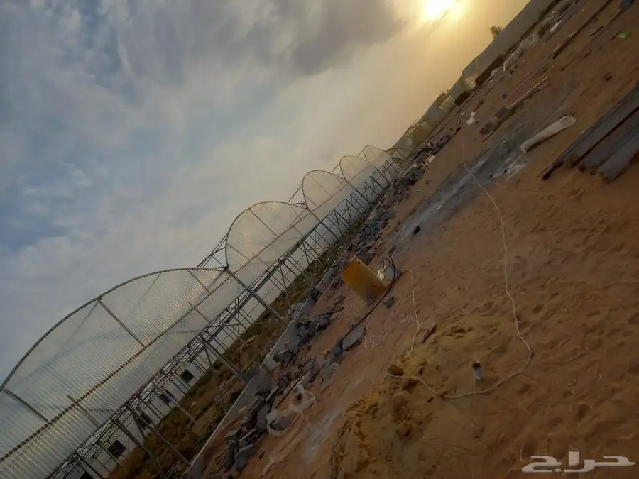 بيوت محمية بيوت محميه صالات مشاتل 1