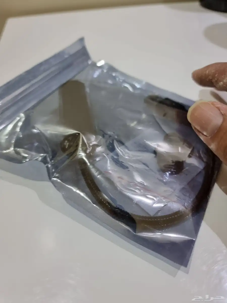 مصباح كواكب يوس بي 3