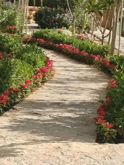 مزارع للحدائق الفلل والاستراحات في شمال الرياض index