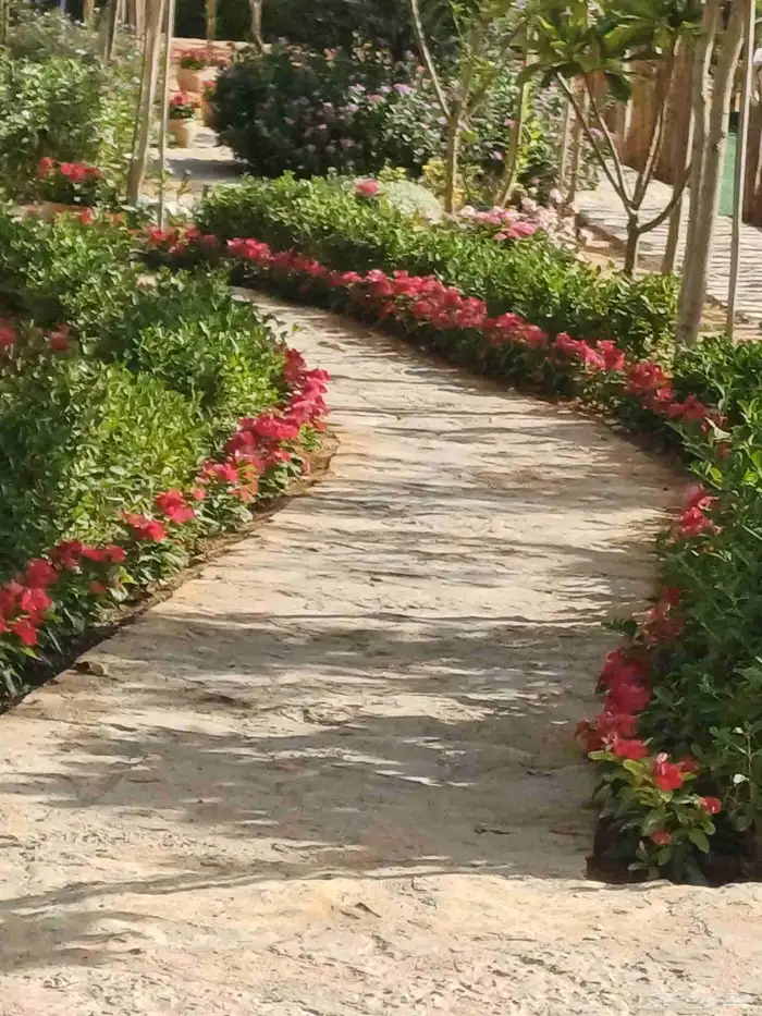 مزارع للحدائق الفلل والاستراحات في شمال الرياض 10