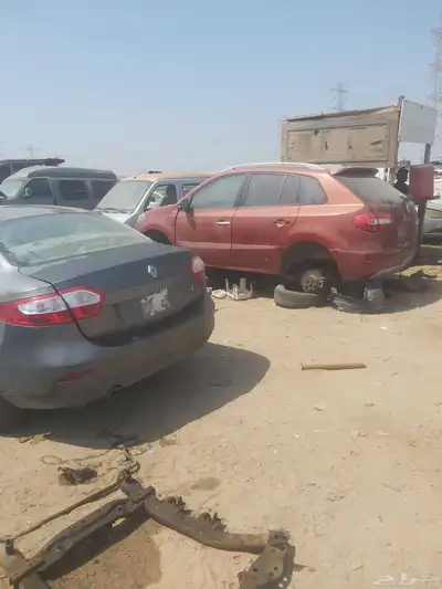 رينو فرنسي جميع الاقسام 3