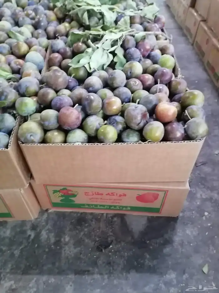 برشومي الطايف وبخارا وعناب وتين مع توصيل مجاني 2