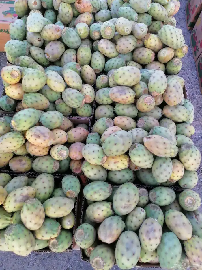 برشومي الطايف وبخارا وعناب وتين مع توصيل مجاني 1