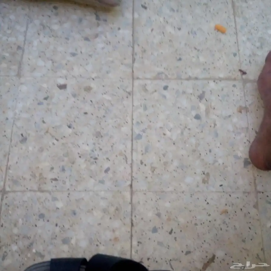 تمام 1