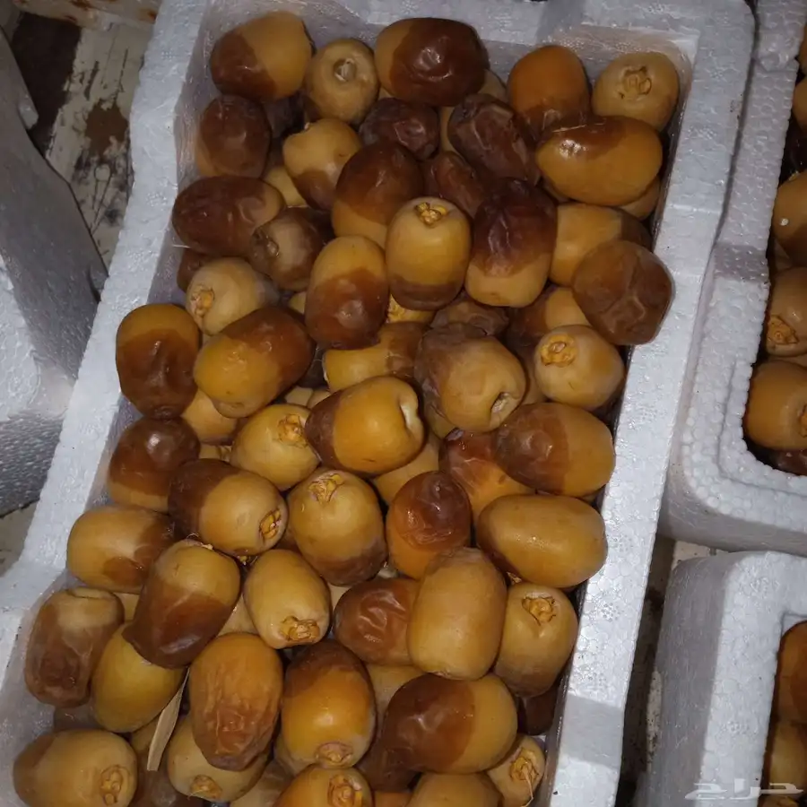 رطب القويز 0