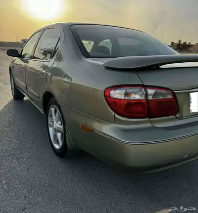 مباعه مكسيما 0