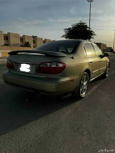 مباعه مكسيما 2