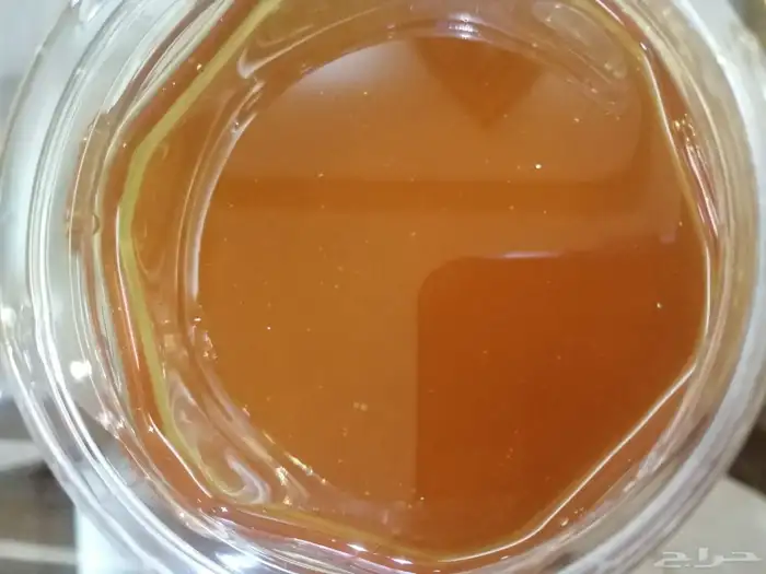عسل سدر حضرمي درجه اولى 1