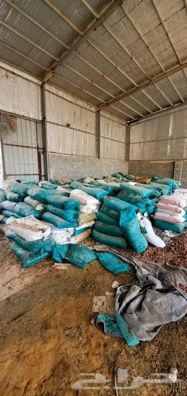 يوجد لدينا نفيع تمر العدد 750 كيس اكياس كبيره 0