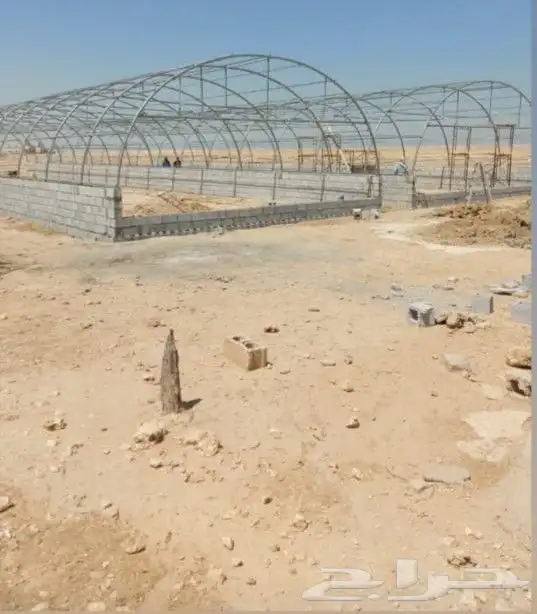 بيوت محمية بيوت محميه صالات مشاتل 2
