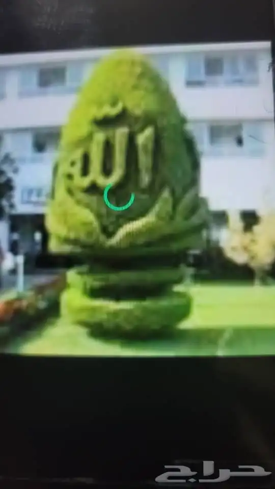 جناح الأمان للتوصيل 3