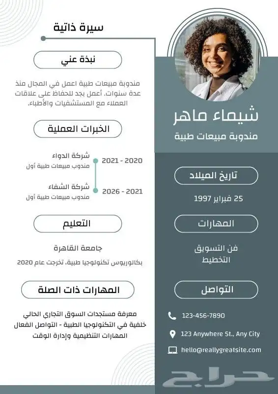 تصميم سيرة ذاتية احترافية CV 2
