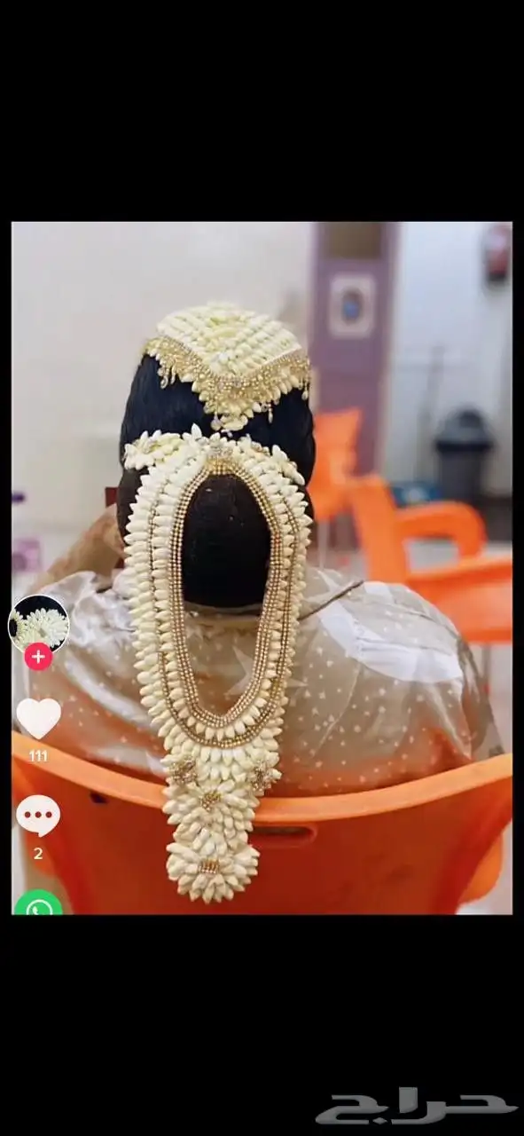 جميع انواع الفل البلدي ورد نرجس 17