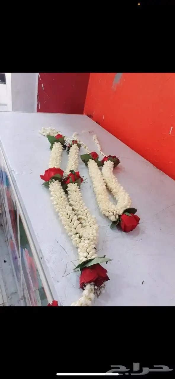 جميع انواع الفل البلدي ورد نرجس 12