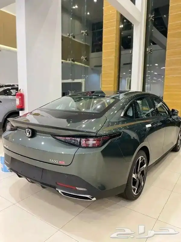 شانجان ايدو ليمتد 2025 2
