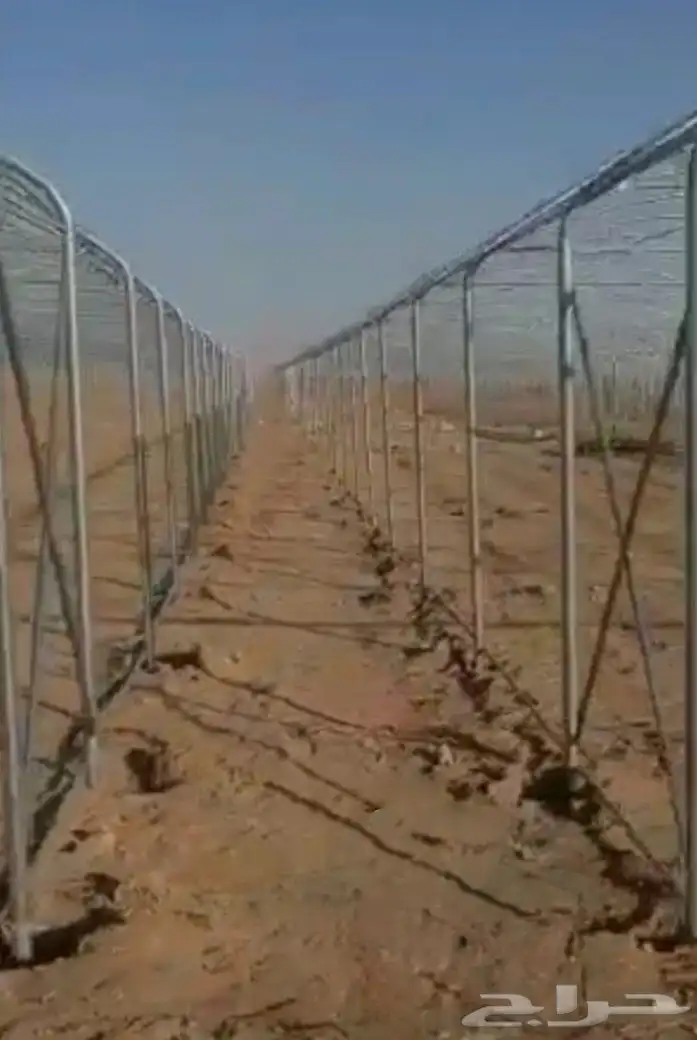 بيوت محمية بيوت محميه صالات مشاتل 8