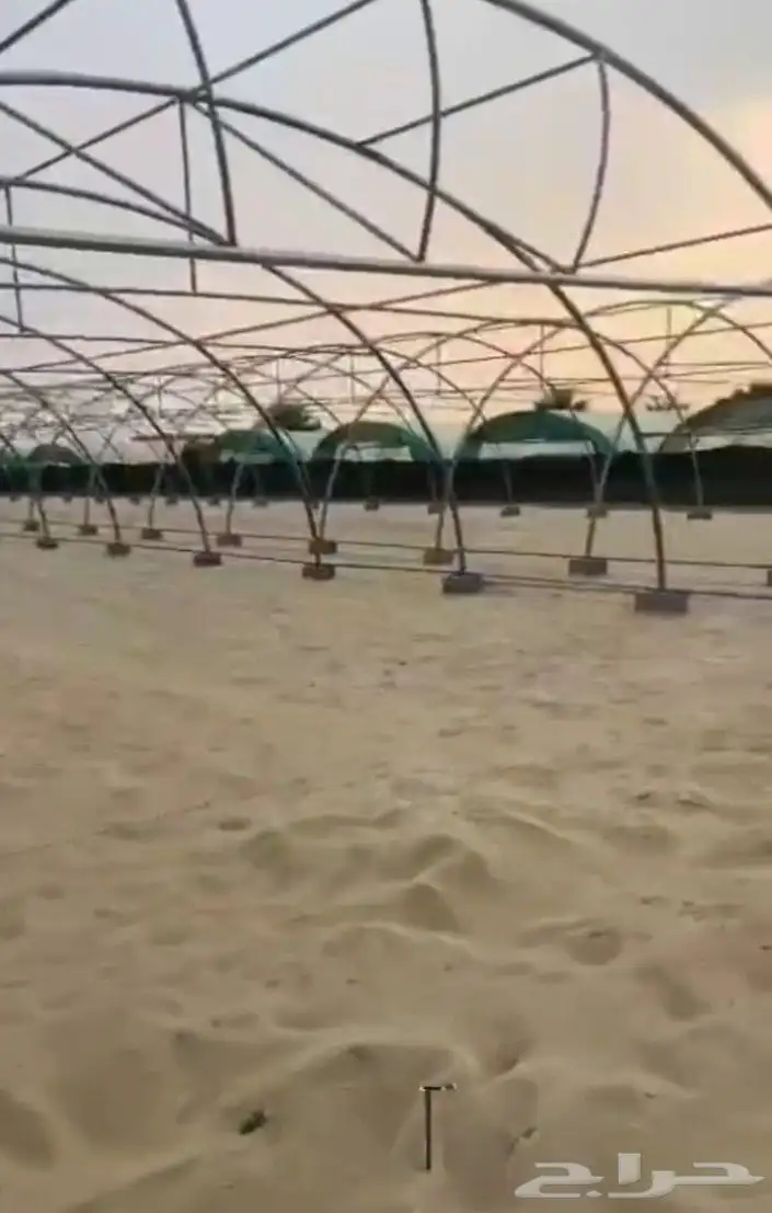 بيوت محمية بيوت محميه صالات مشاتل 9