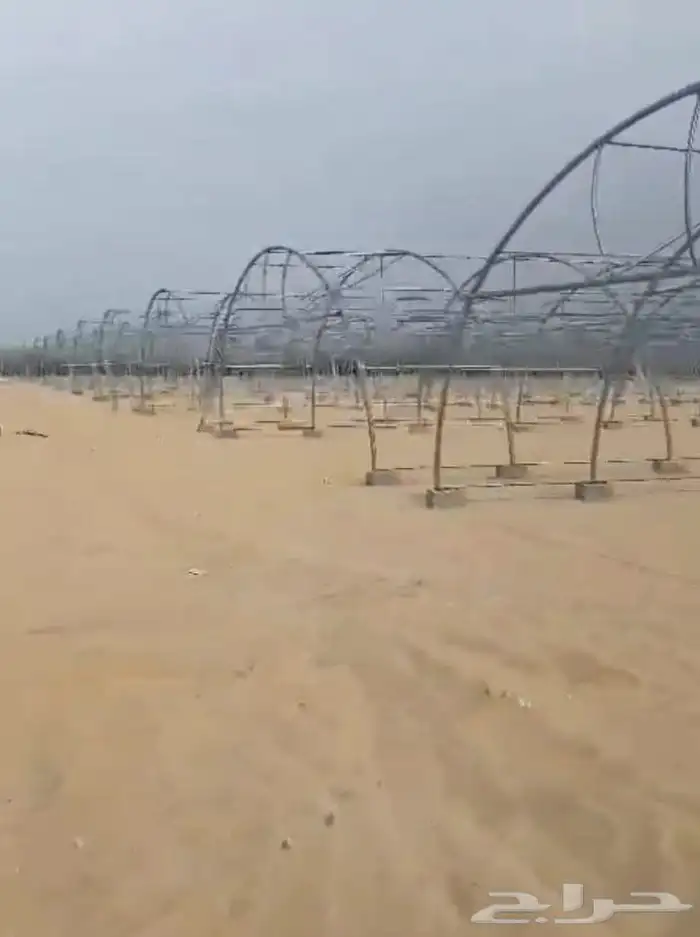 بيوت محمية بيوت محميه صالات مشاتل 6