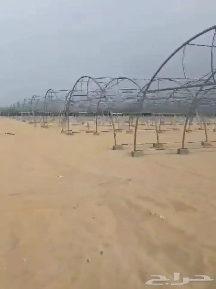 بيوت محمية بيوت محميه صالات مشاتل 6