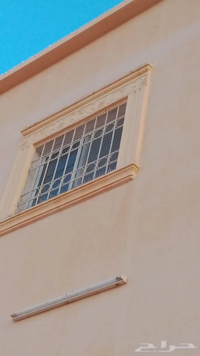 تركيب طارد الحمام تركيب شبك مانع الحمام 4