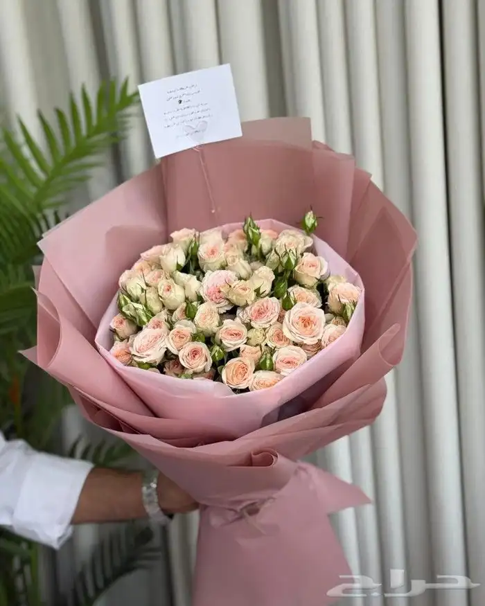 منسق هداياالرياض نسعدبخدمتكم توصيل طلبات اسرمنتجه الرياض 3