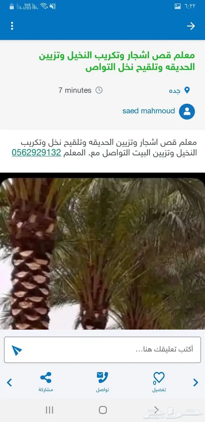 معلم قص اشجار وتزيين الحديقه وتلقيح نخل وتكريب النخيل 6