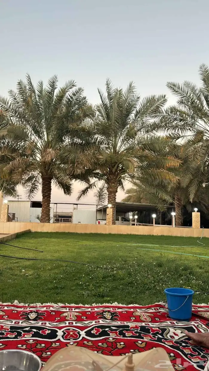 ثيل صناعي وأحواض زراعة 5