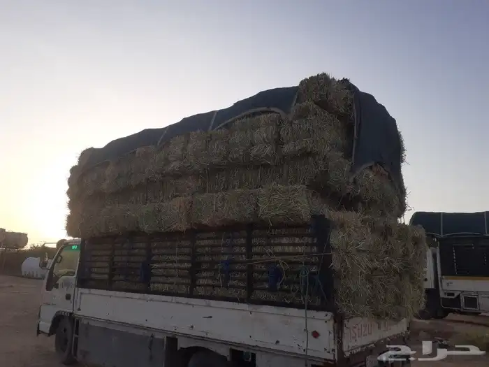 الاعلاف البيع 1