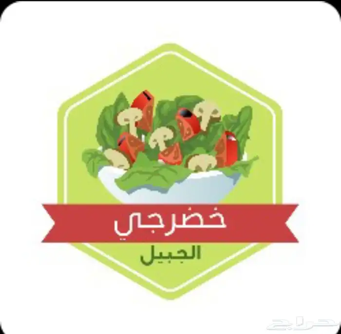 اعلانات لوقو cv عربي CV EN 2