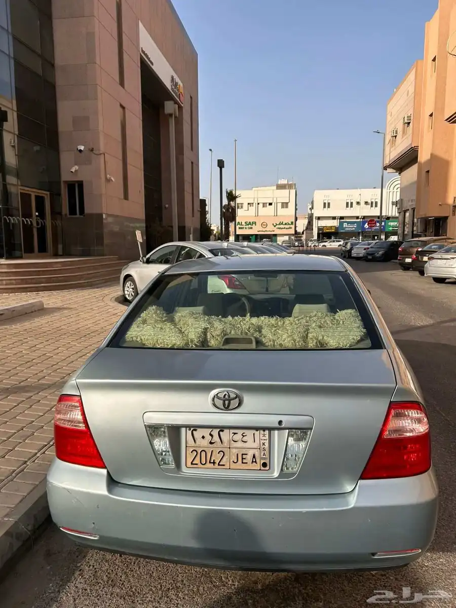 كوريلا 2006 1