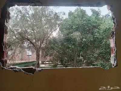معلم قص اشجار وزراعه وجميع انواع الزراعه بمكه المكرمه خدمه 2 0