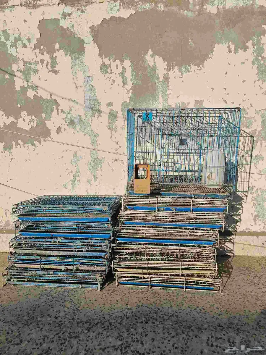 شبوك 3