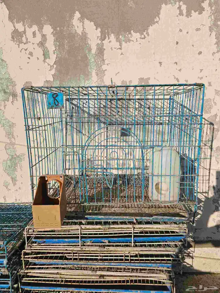 شبوك 0