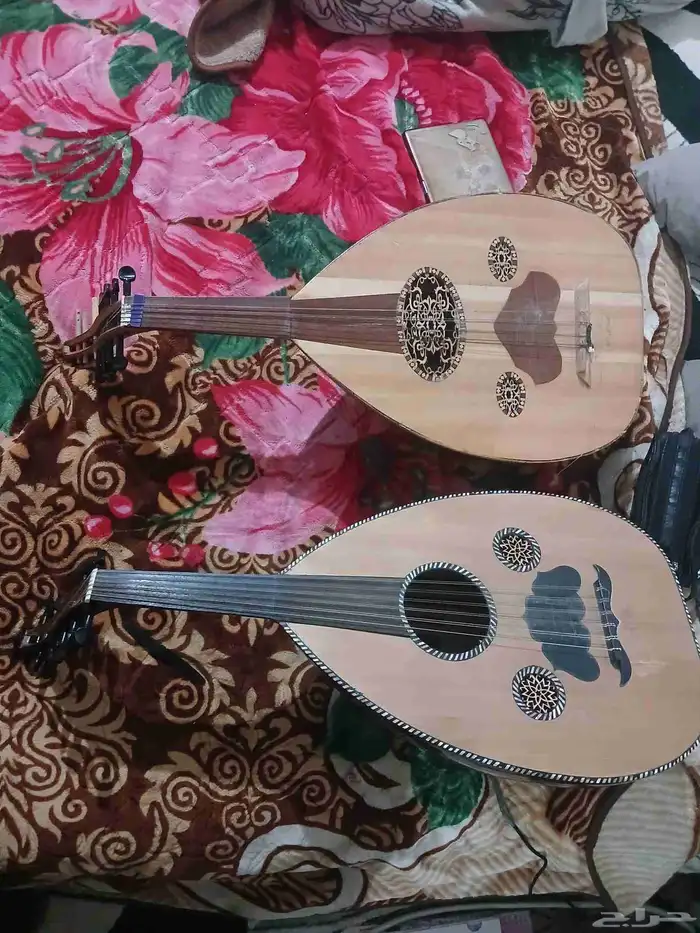 عود مصري نضيف السنباطى. شريف حجاج 3