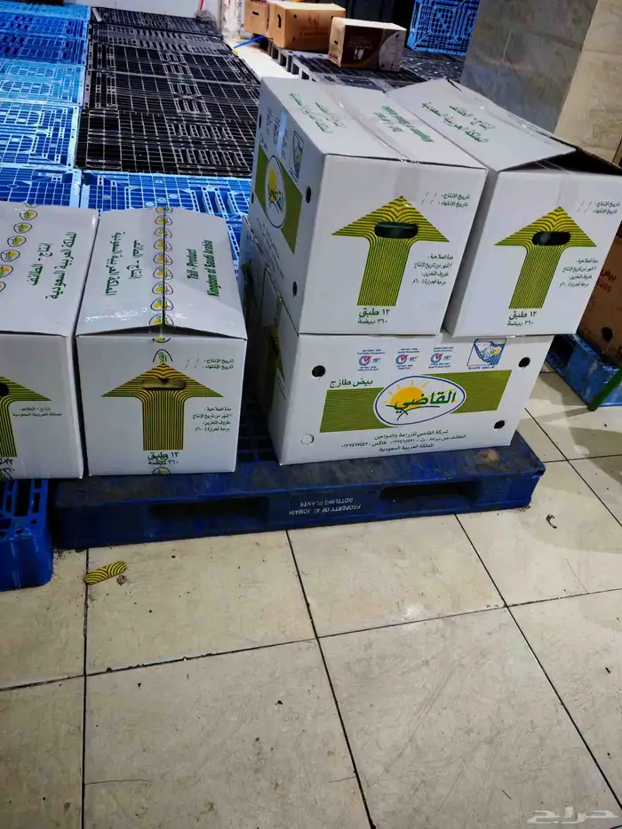 بيض جمله نص كرتون ب 130 فيها 6 اطبقاق شامل التوصيل 0