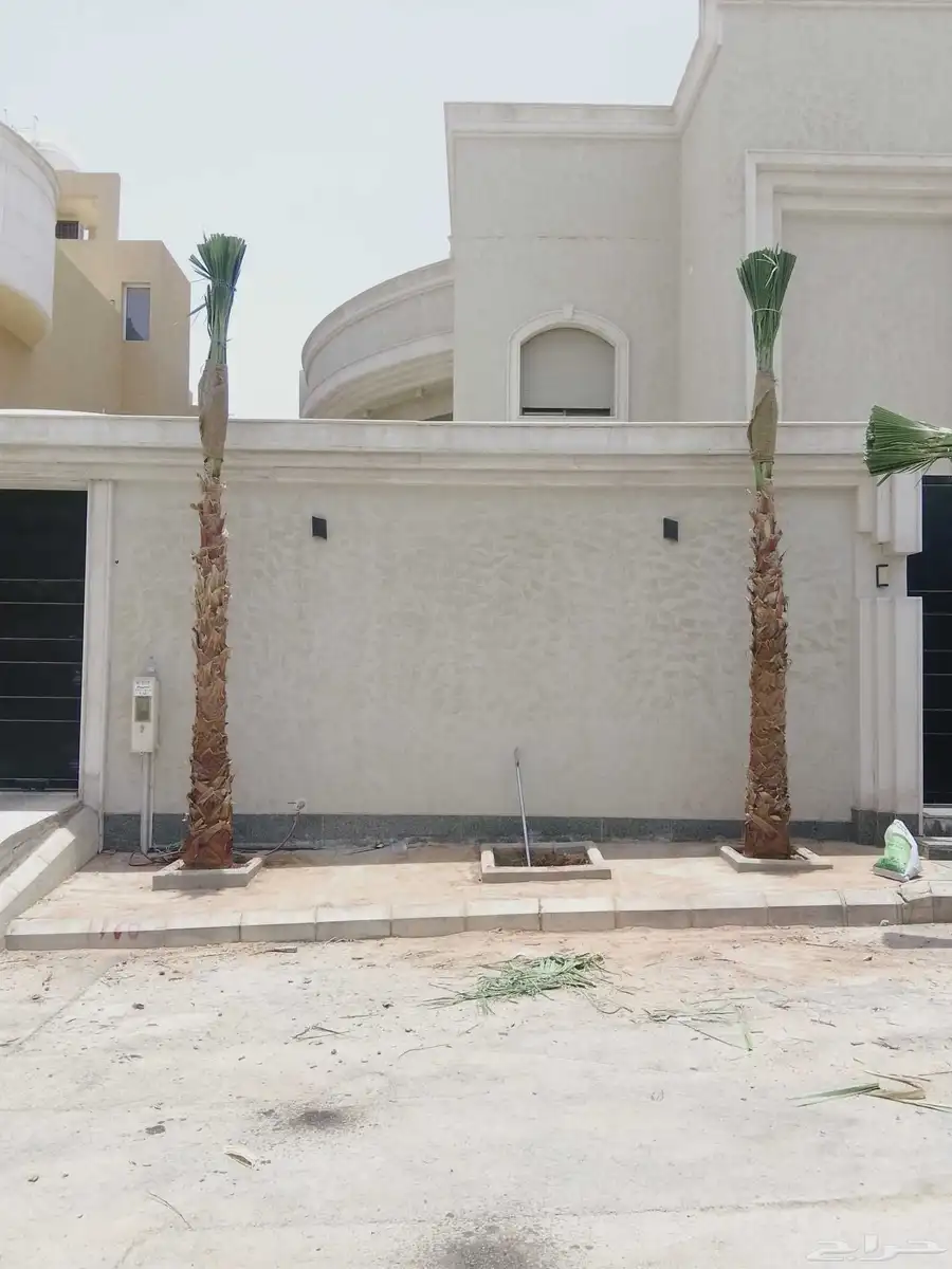 زراعه نخيل 2